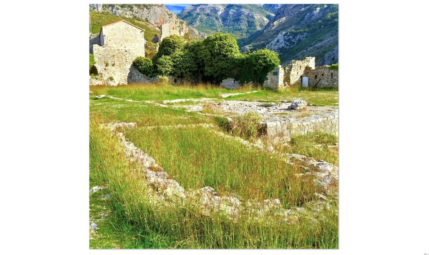 single-inner-news-image